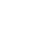 pdf icon